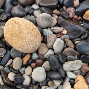 An abstract photo of pebbles.