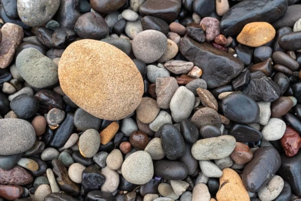 An abstract photo of pebbles.