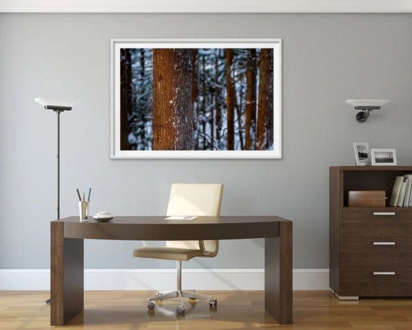 Winter forest glow - a snowy forest in Japan. Framed in white