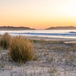 Racecourse Beach Sunrise - Sunrise on a deserted South Coast beach. Does it get any better? Bawley Point, Australia