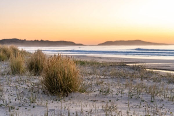 Racecourse Beach Sunrise - Sunrise on a deserted South Coast beach. Does it get any better? Bawley Point, Australia