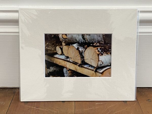 Fine Art print of birch logs